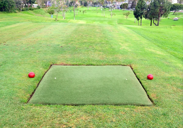 Manicured green grass of Fairway on golf course