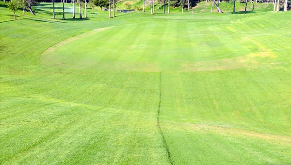 Manicured green grass of Fairway on golf course
