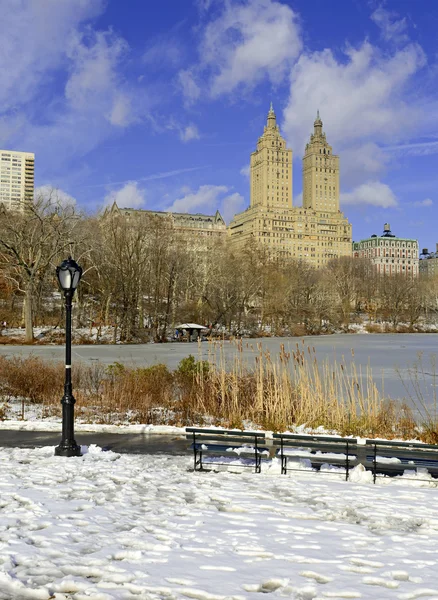 Central Park in the snow, Manhattan New York