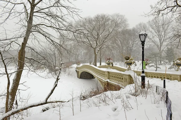 Central Park in the snow, Manhattan, New York City