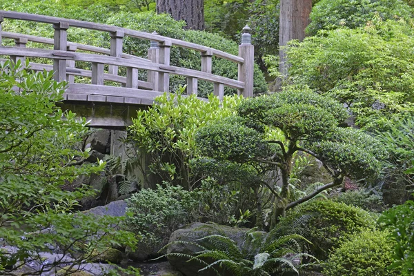 Japanese garden landscape