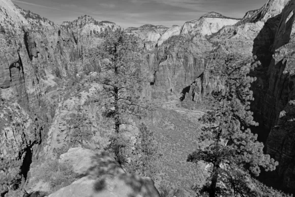 Black and white landscape of Zion National Park