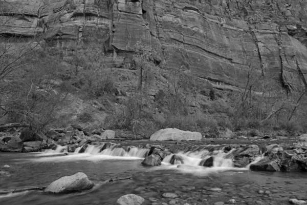 Black and white landscape of Zion National Park