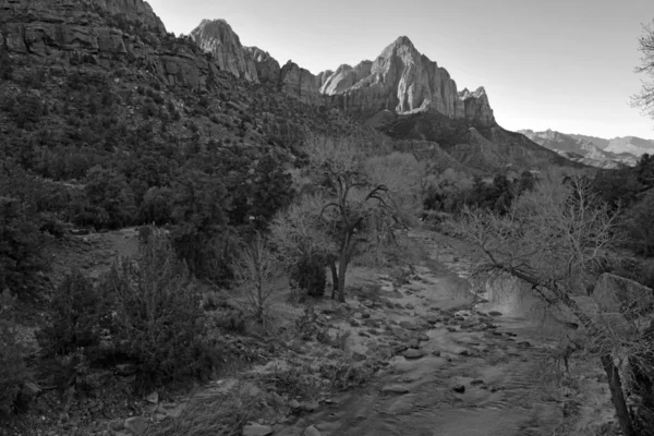 Black and white landscape of Zion National Park