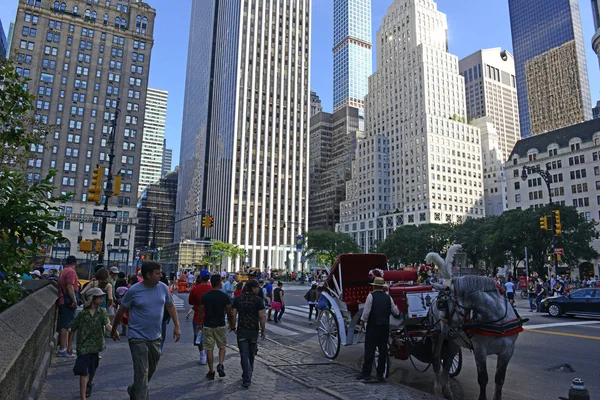 Horse-drawn carriages in Manhattan with city background, New York