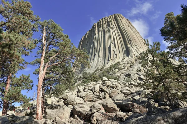 Devils Tower National Monument, a geological landform rising from the grasslands of Wyoming, is a popular tourist attraction, source for Native American legend and rock climbing goal for climbers