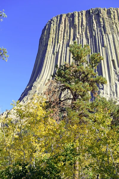 Devils Tower National Monument, a geological landform rising from the grasslands of Wyoming, is a popular tourist attraction, source for Native American legend and rock climbing goal for climbers