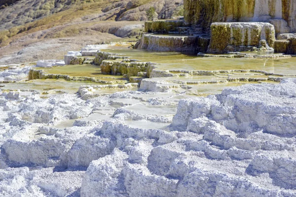 Travertine Terraces, Mammoth Hot Springs, Yellowstone