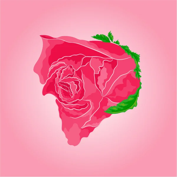 Beautiful rose pink simple vector