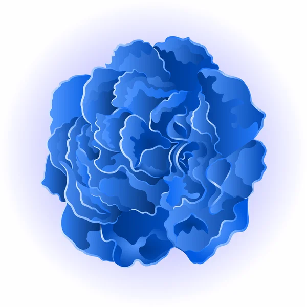 Blue flower rose vector