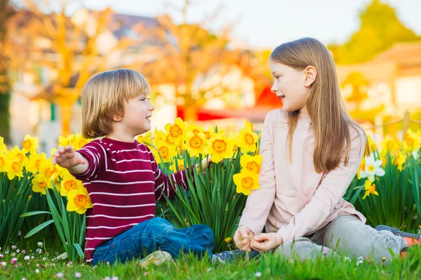 Two cute kids, little boy and his big sister, playing in the park between yellow daffodils flowers at sunset