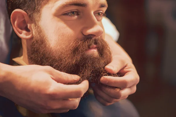 Professional barber styling beard of his client