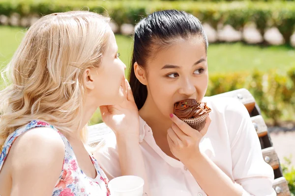 Two girlfriends in park with coffee and cupcakes