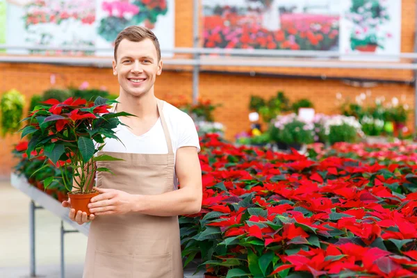 Smiling florist holding a plant.