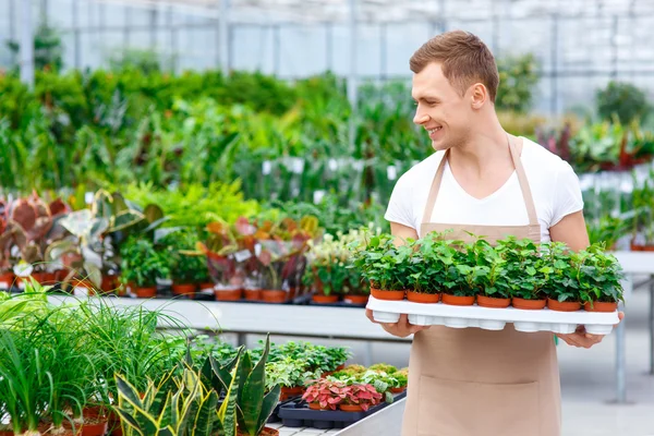 Positive florist carrying flowers.