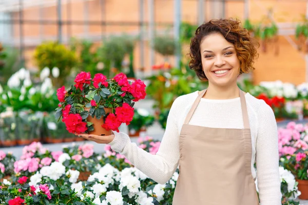 Cheerful florist presenting a flower.