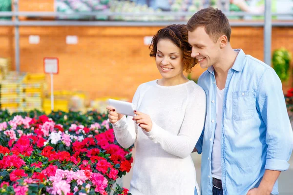 Couple taking pictures of blooming flowers.