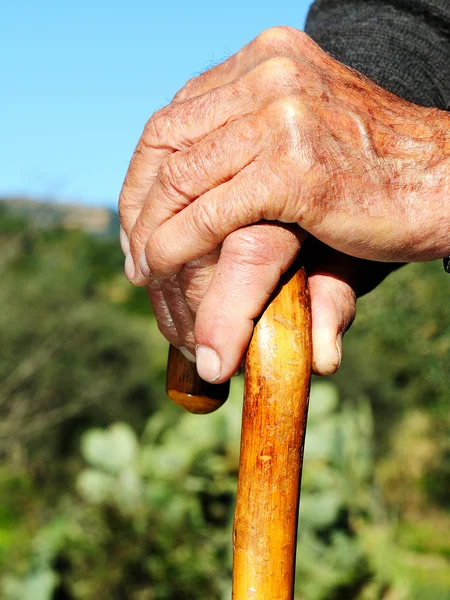 The old person hands