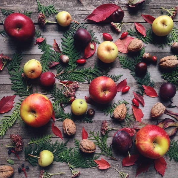 Apples, rosehip berries and plums on wooden background