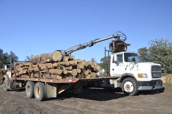 Truck loaded with logs