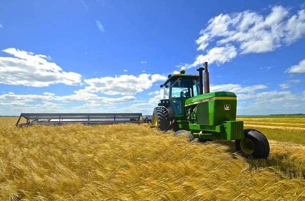 John Deere and swather in a wheat field