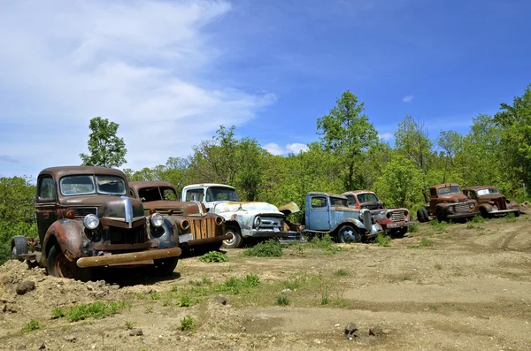 Row of old junked pickups