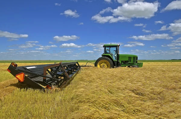 John Deere tractor and swather in a wheat field