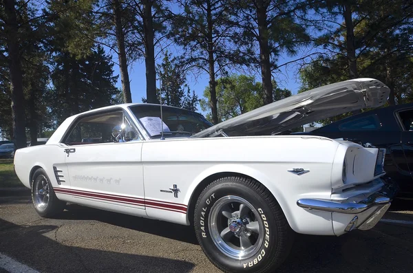 Classic 1966 Ford Mustang