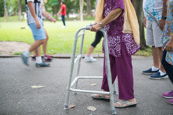 Elderly woman with walking aid in park