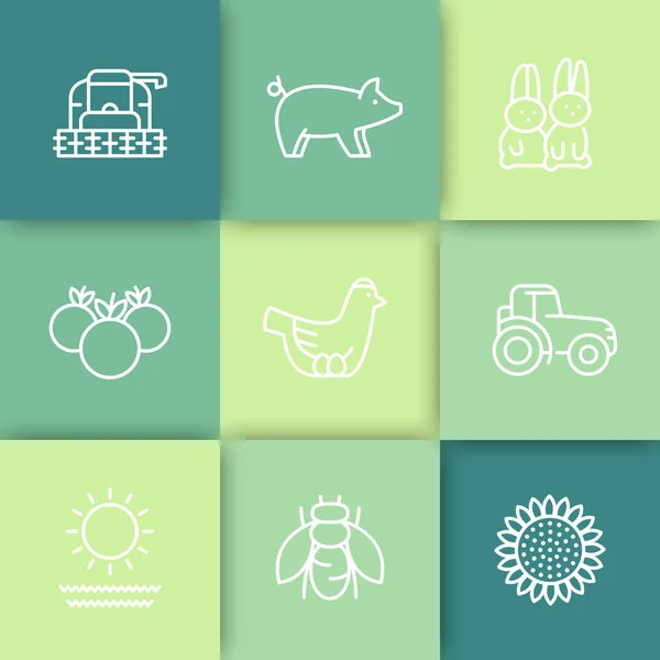 Farm, ranch line icons, tractor, harvester, hen, pig, crop, vegetables icons on squares, vector illustration