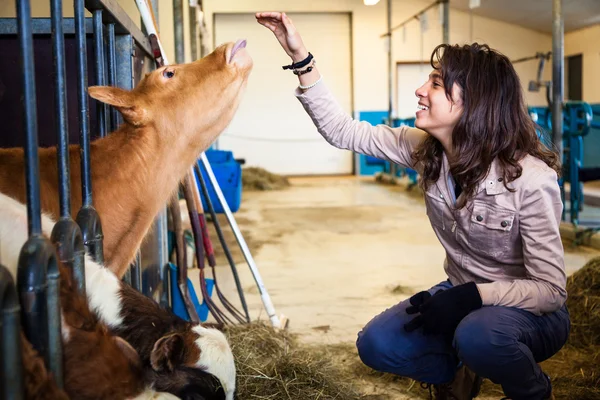 Teen petting calf