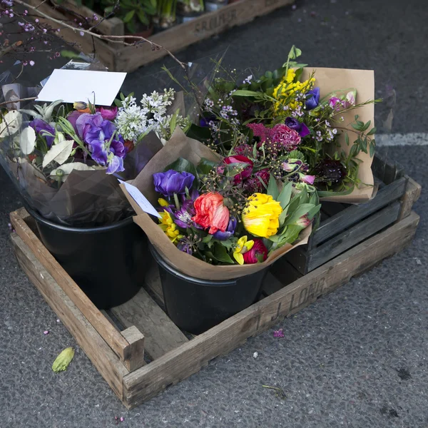 Dark blue Anemone plant surrounded by different flowers in the wooden box in flower store. Selective focus