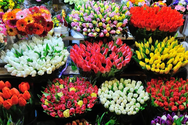 Colorful tulips on sale in flower market
