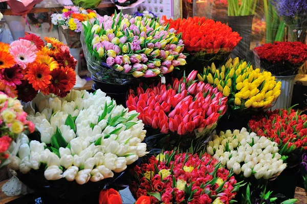 Colorful tulips on sale in flower market