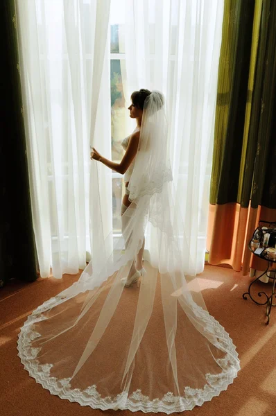 Beautiful bride with long veil in her underwear