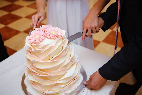 Bride and Groom at Wedding Reception Cutting the Wedding Cake