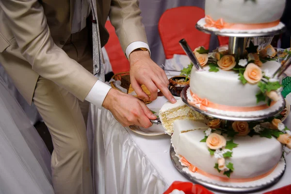 Bride and Groom at Wedding Reception Cutting the Wedding Cake