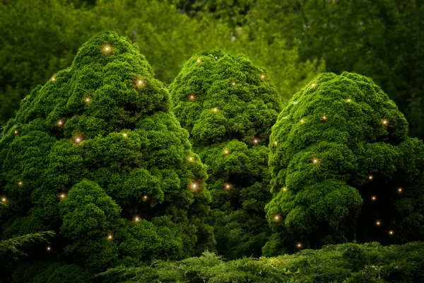 Fluffy green bushes with fireflies