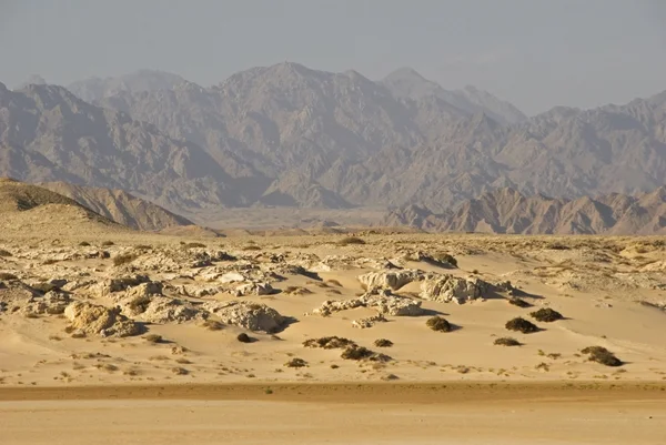 Ras Muhammad National Park. Egypt