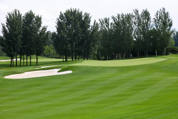 Landscape View Of Golf Course