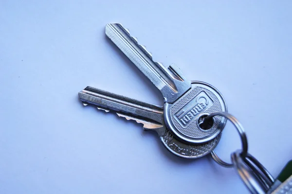 Keys, key ring, background, white