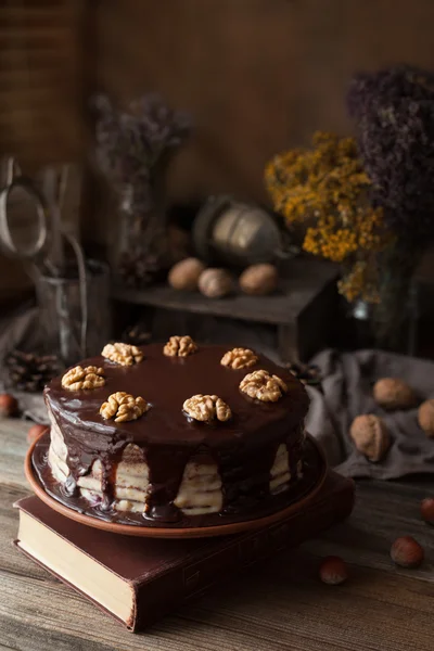 Chocolate cake dark food mystery composition with book and walnuts