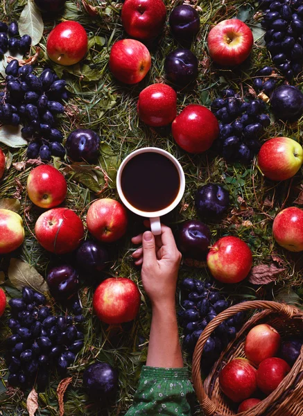 Concept harvest in September. Autumn composition with coffee, apples, plums, grapes. Cozy mood, comfort, fall weather