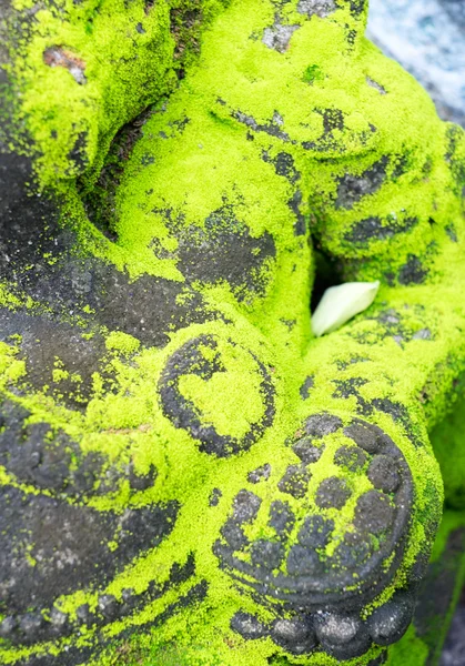 Green moss on old stone