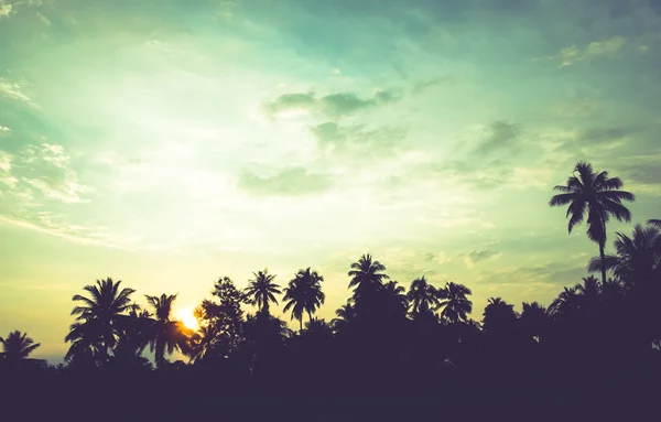 Silhouette landscape of coconut trees