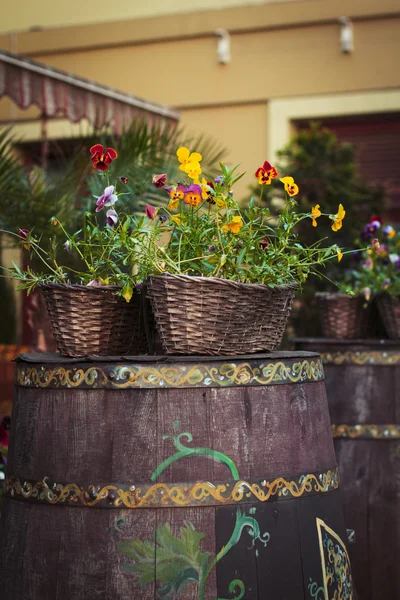 Barrel with flowers on the street