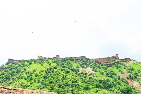 Amer Amber fort and Palace jaipur rajasthan india