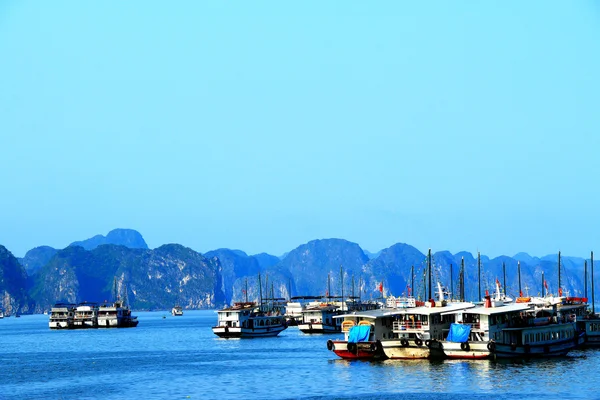 Ha long city fishing harbour