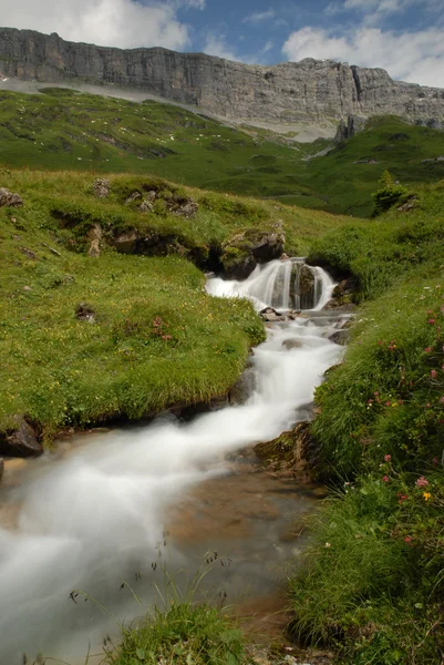 Water Source in the Alps