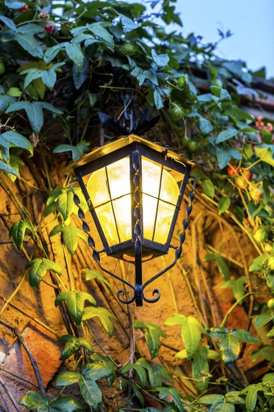 Solar decorative lamps in a night garden